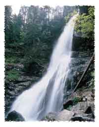 Chutes d'eau